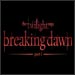 Andrea Gabriel Talks 'Breaking Dawn' and 'LOST'