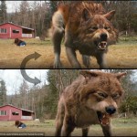 JACOB BLACK WOLF GROWS A PAIR…OF FANGS